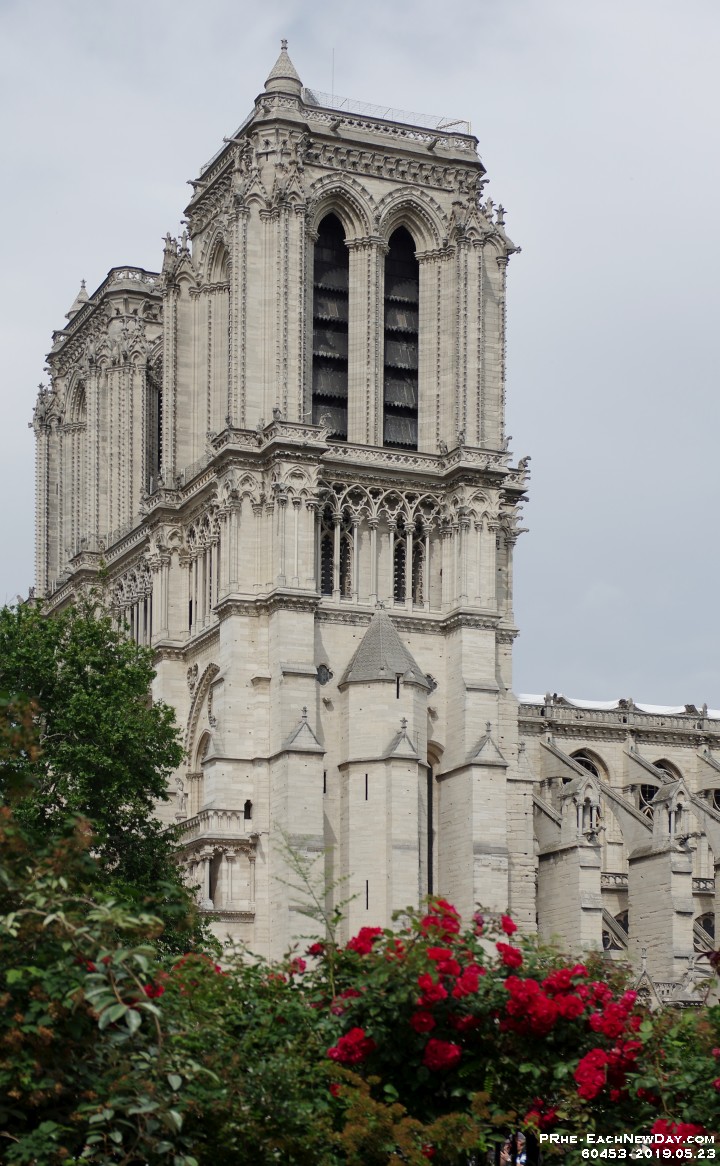 60453CrLePe - Notre Dame - Paris, France